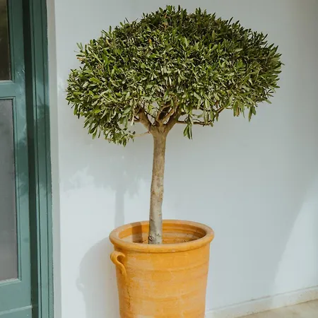 Case de vacanță Sotiris House *