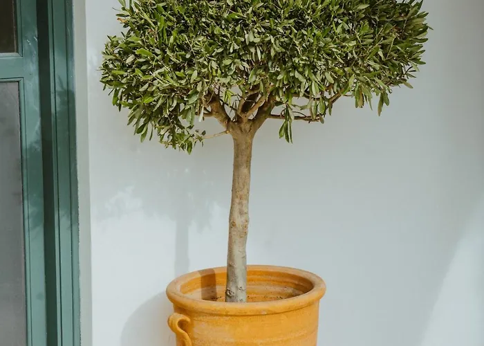 Prázdninový dům Sotiris House *