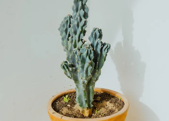 Prázdninový dům Sotiris House Kazaphani